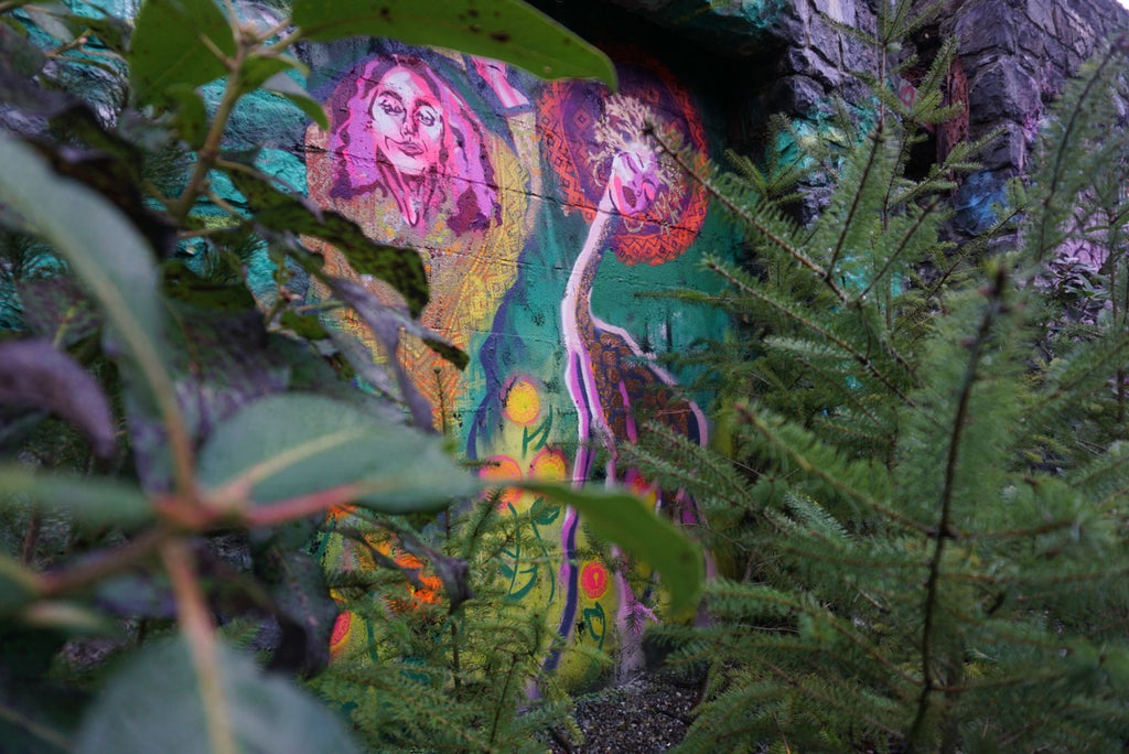 Sooke Potholes Murals