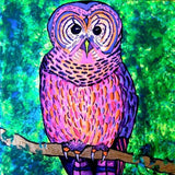 Awesome Owl