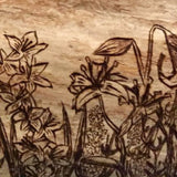 Alexandra Flower and Tiger Lily