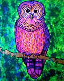 Awesome Owl
