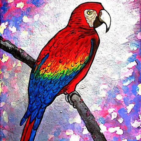 Particoloured Parrot