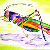 Graphic Grasshopper